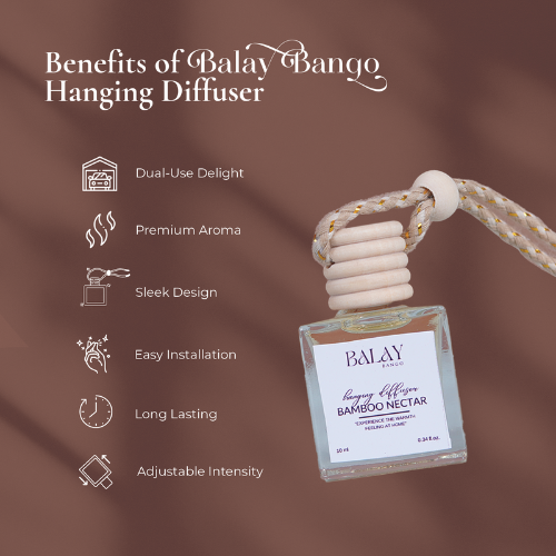 Hanging Diffuser Buy 1 Take 1