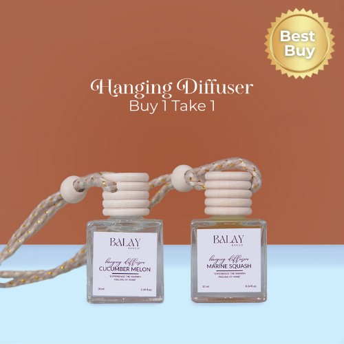 Hanging Diffuser Buy 1 Take 1